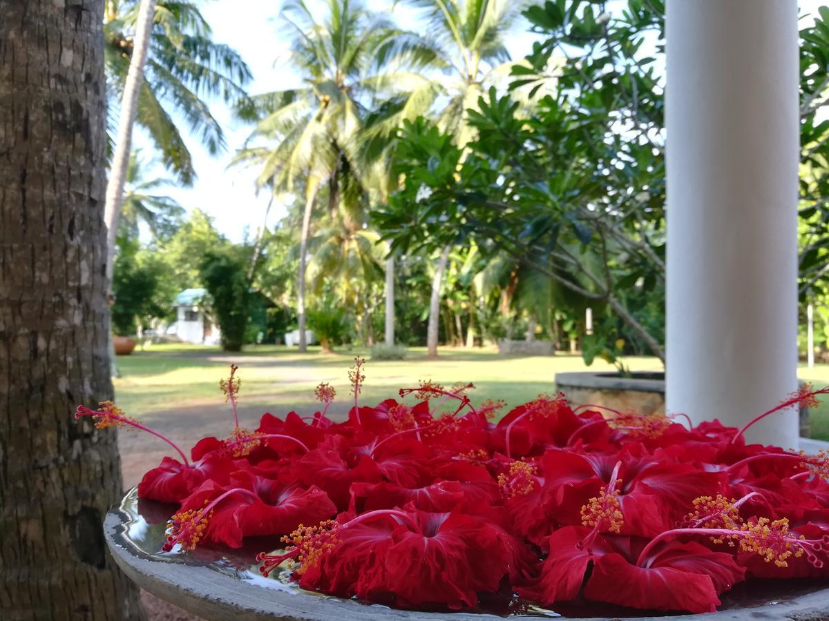 Villa Gaetano Unawatuna Exteriér fotografie